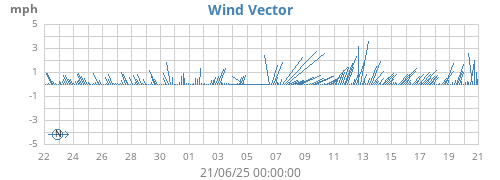Wind Vector