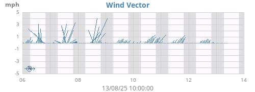 Wind Vector